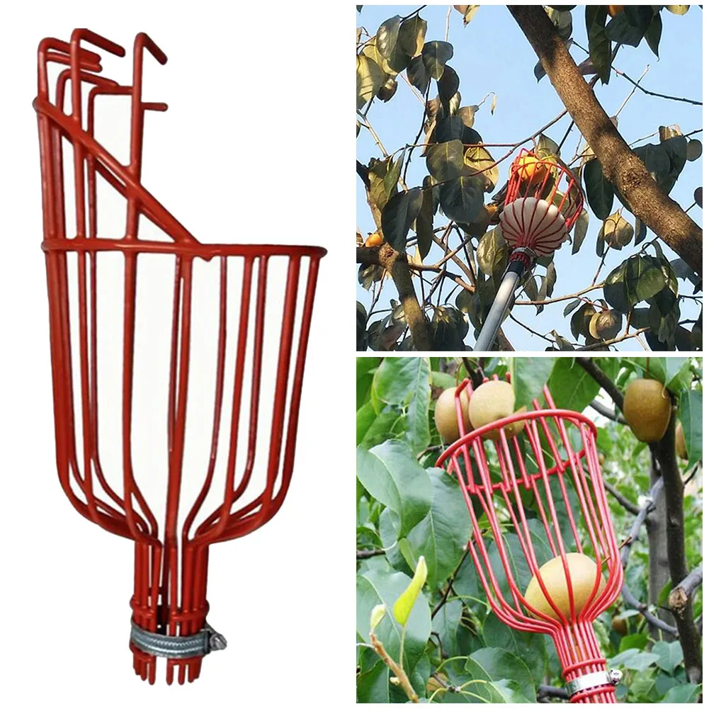 1pcs Fruit Picker Basket 4.5X14.5X14.5 Cm Metal Clamp Cushioned Basket For Catcher Loading Fruits Garden Picking Device Tools
1pcs Fruit Picker Basket 4.5X14.5X14.5 Cm Metal Clamp Cushioned Basket For Catcher Loading Fruits Garden Picking Device Tools