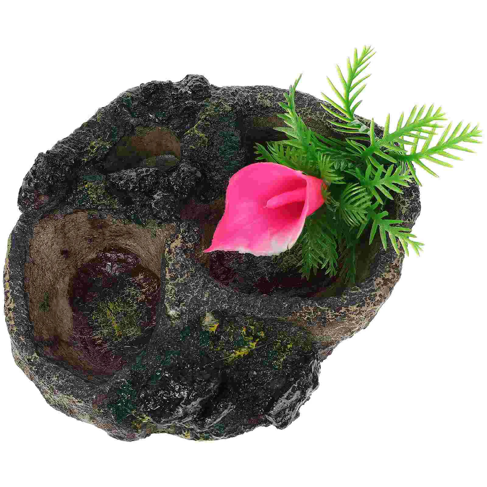 Reptile Bowl Waterdish Feeding Holder Turtle Feeder Tortoise Snake Terrarium Lizard Tank Resin Basin Frog Bowlsdispenser
Reptile Bowl Waterdish Feeding Holder Turtle Feeder Tortoise Snake Terrarium Lizard Tank Resin Basin Frog Bowlsdispenser