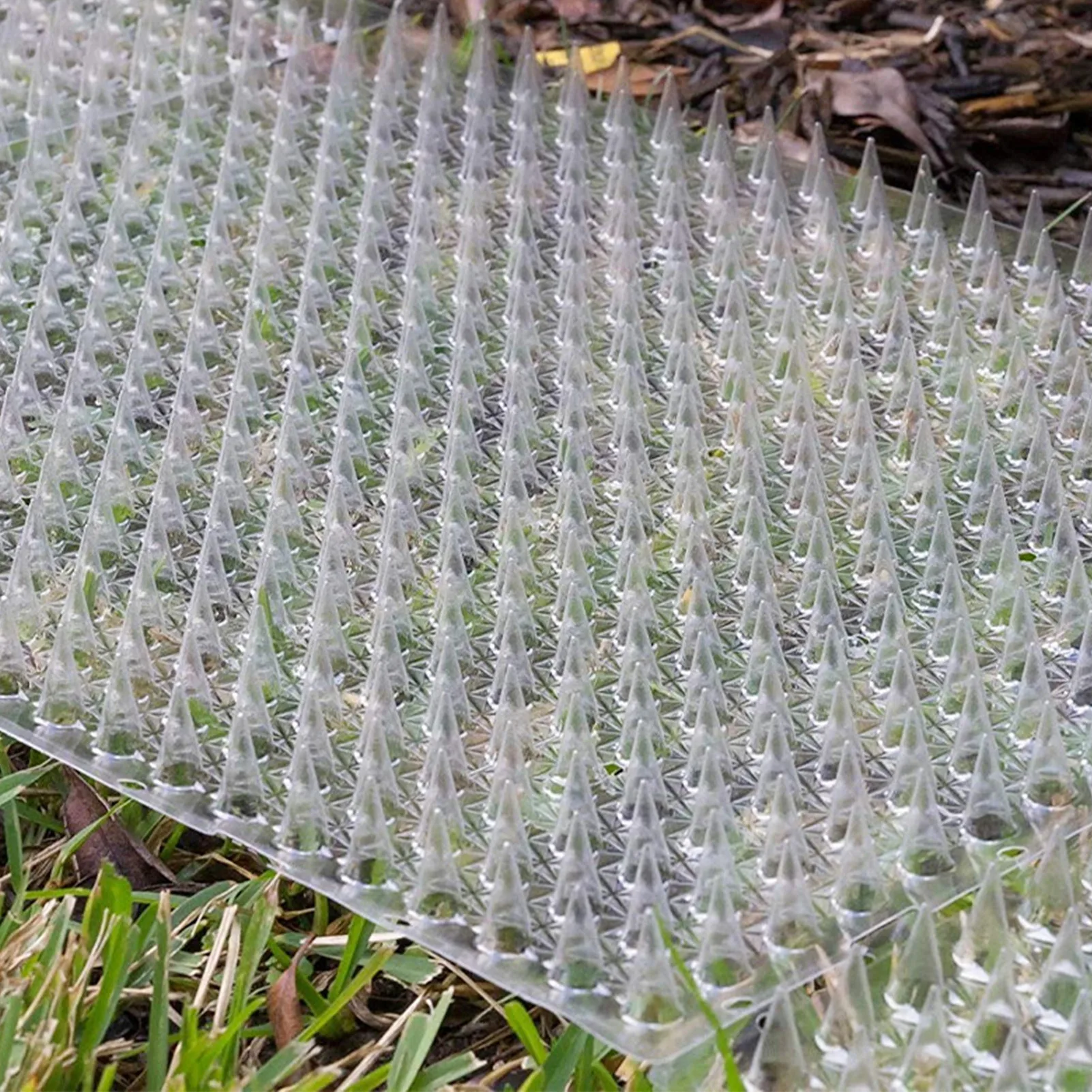 Garden Cat Scat Mats Cats Net Anti-Cat Dogs Repel-lent Mat Prickle Strips Keep Cats Away Safe Plastic Spike Thorn 6PCS
Garden Cat Scat Mats Cats Net Anti-Cat Dogs Repel-lent Mat Prickle Strips Keep Cats Away Safe Plastic Spike Thorn 6PCS