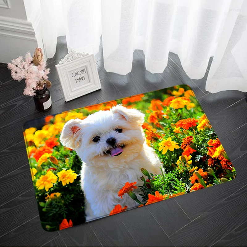 Living Room Carpet Cute Dog Kitchen Mat Foot Design Rugs Mats Bathroom Prayer Rug Carpets Hallway Entrance Doormat Welcome Door
Living Room Carpet Cute Dog Kitchen Mat Foot Design Rugs Mats Bathroom Prayer Rug Carpets Hallway Entrance Doormat Welcome Door
