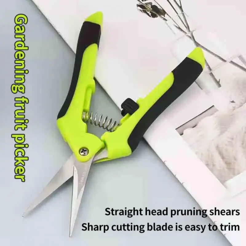 

Stainless Steel Pruning Shears Multifunctional Gardening Tools Home Garden Fruit Grape Scissors for Gardening Accesorries