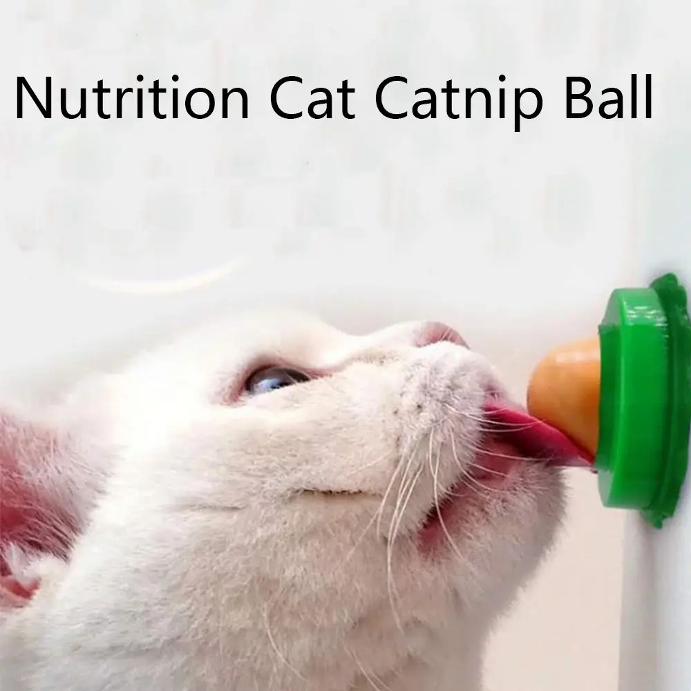 Nutrition Cat Catnip Ball Dust Cover Round Safe Catnip Snack Lick Candy Vitamin Pudding Catnip Lollipop For Cat Kitten Ragdoll
Nutrition Cat Catnip Ball Dust Cover Round Safe Catnip Snack Lick Candy Vitamin Pudding Catnip Lollipop For Cat Kitten Ragdoll
