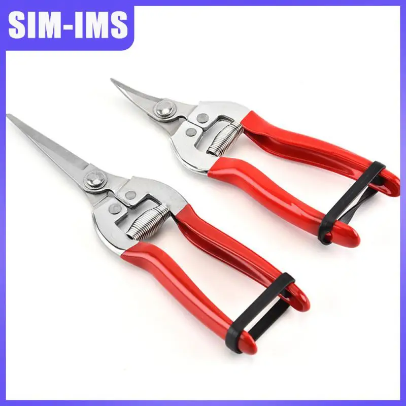 Sharp Cutting Edge Pruning Shears High Quality Spring Large Size 110g Branch Shears Widely Applicable Reinforced Rivets Red
Sharp Cutting Edge Pruning Shears High Quality Spring Large Size 110g Branch Shears Widely Applicable Reinforced Rivets Red