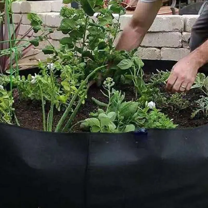 Flower Pot Planting Bag Planting Bucket Indoor Outdoor Planting Non-Woven Garden Vegetable Garden Seedling Cultivation Bag
Flower Pot Planting Bag Planting Bucket Indoor Outdoor Planting Non-Woven Garden Vegetable Garden Seedling Cultivation Bag