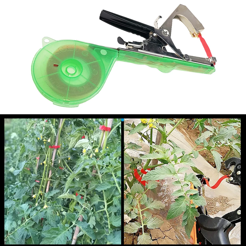 Plant Branch Hand Binding Vegetable Tomato Cucumber Pepper Cucumber Pepper Tapetool Tapener Garden Tools
Plant Branch Hand Binding Vegetable Tomato Cucumber Pepper Cucumber Pepper Tapetool Tapener Garden Tools