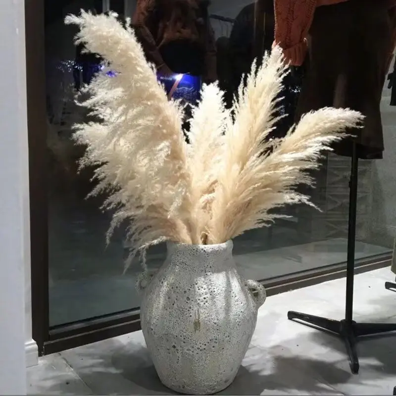 60cm White Large Pampas Grass Dried Natural Flowers for Wedding Bouquet Photography Props Home Marriage Decoration Bouquet Gift
60cm White Large Pampas Grass Dried Natural Flowers for Wedding Bouquet Photography Props Home Marriage Decoration Bouquet Gift