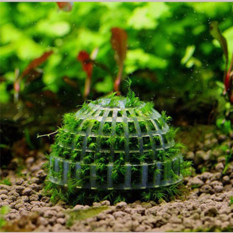1PC Live Plants Holder Fish Tank Media Moss Ball Filter Aquarium Moss Tree Filter Aquatic Pets Mineral Balls Aquarium Decoration
1PC Live Plants Holder Fish Tank Media Moss Ball Filter Aquarium Moss Tree Filter Aquatic Pets Mineral Balls Aquarium Decoration
