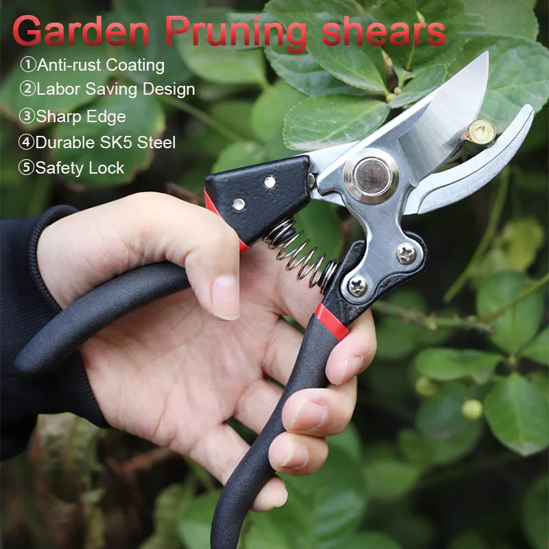 Garden Scissors SK5 Pruning Shears Bonsai Plant Trimming Branches Secateurs Bypass Pruner Orchard Gardening Hand Tools
Garden Scissors SK5 Pruning Shears Bonsai Plant Trimming Branches Secateurs Bypass Pruner Orchard Gardening Hand Tools