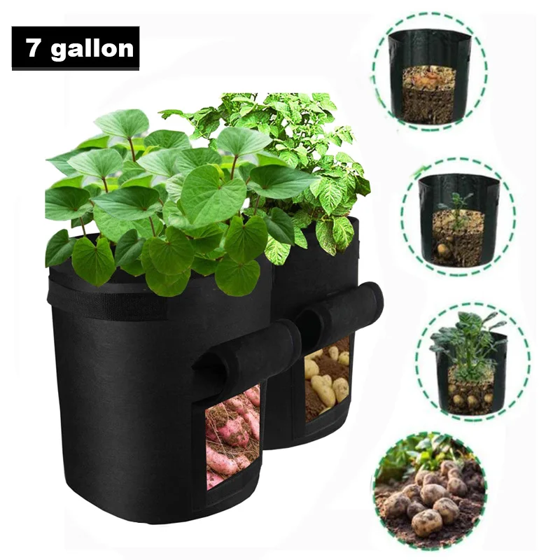 Home Garden Tool Planting Bag Side Opening Garden Grow Bag Strawberry Potato Bucket Container Planter Pouch with Handles
Home Garden Tool Planting Bag Side Opening Garden Grow Bag Strawberry Potato Bucket Container Planter Pouch with Handles