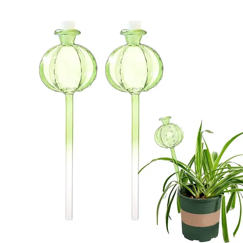 2/3Pcs Plant Self Watering Globes Automatic Plant Water Feeder Glass Bulbs Flowerpot Drip Irrigation System Home Office Supplies
2/3Pcs Plant Self Watering Globes Automatic Plant Water Feeder Glass Bulbs Flowerpot Drip Irrigation System Home Office Supplies