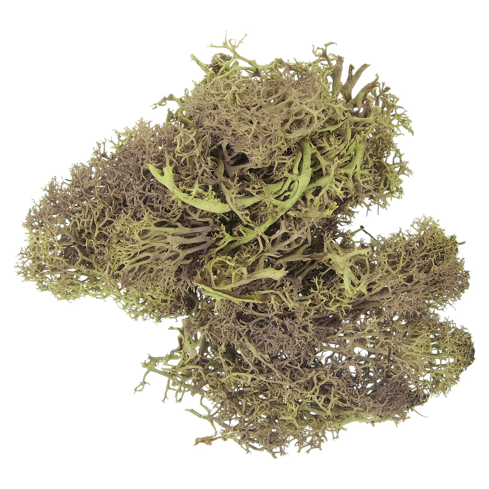 Decorations Home Wall Landscaping Moss Fake Artificial Planters Crafts Potted Plants Faux
Decorations Home Wall Landscaping Moss Fake Artificial Planters Crafts Potted Plants Faux