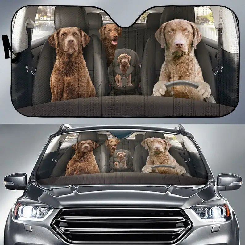 Chesapeake Bay Retrievers Auto Sun Shade 38 Auto Cover Protector Window, Customized Gift Custom Animal Pattern Sunshade,
Chesapeake Bay Retrievers Auto Sun Shade 38 Auto Cover Protector Window, Customized Gift Custom Animal Pattern Sunshade,