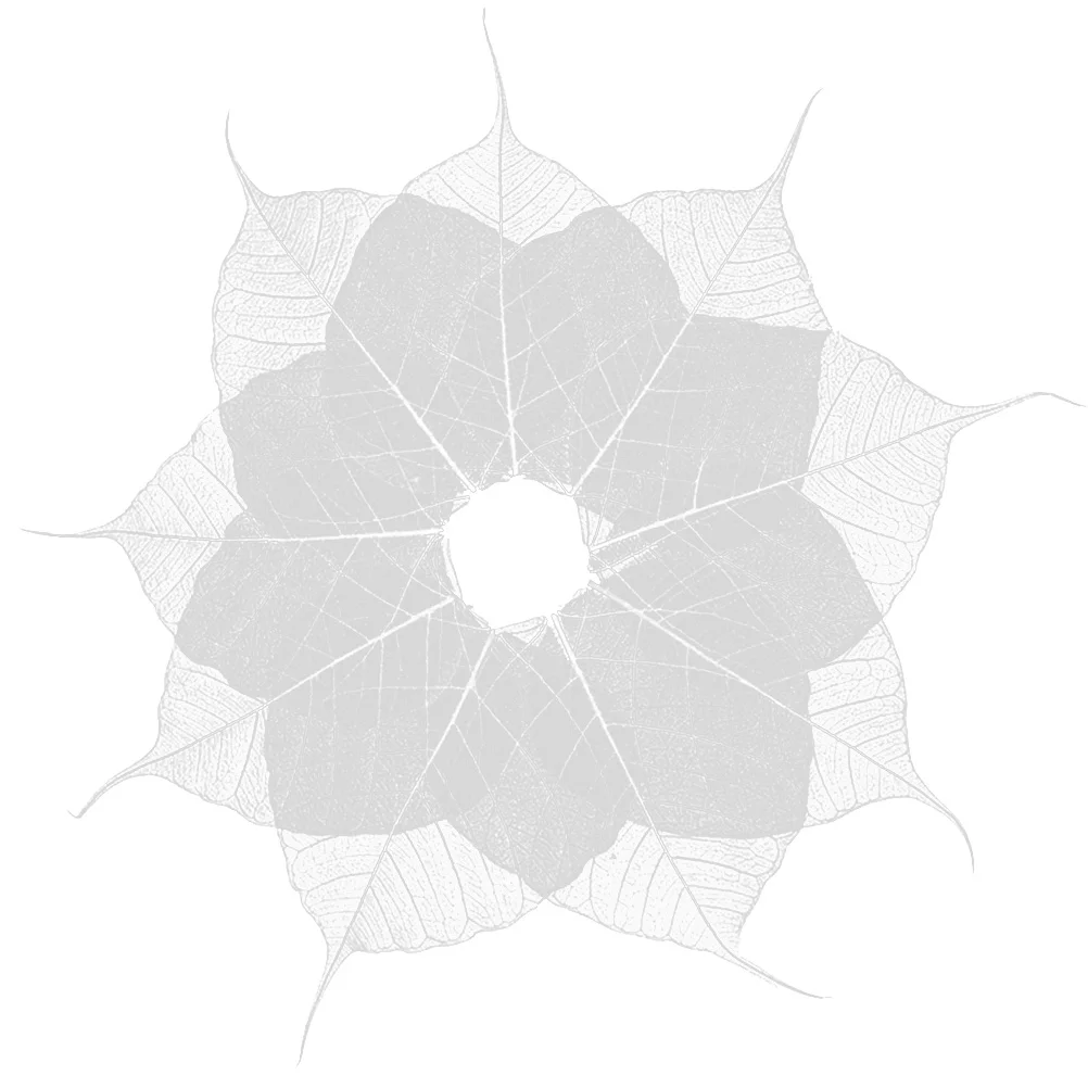 20 Pcs White Decor DIY Materials Artificial Leaves Leaf Painting Hand Decor Leaves Book Manual
20 Pcs White Decor DIY Materials Artificial Leaves Leaf Painting Hand Decor Leaves Book Manual