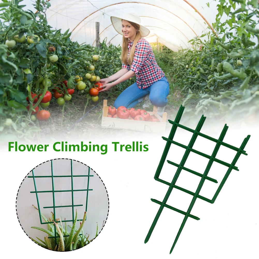 Small Trellis Plant Support Expanding Tomato Cage Fruit Vines Climbing Frame Easy Install Garden Stakes For Flower Panels
Small Trellis Plant Support Expanding Tomato Cage Fruit Vines Climbing Frame Easy Install Garden Stakes For Flower Panels