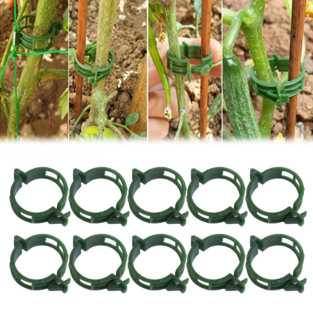 100Pcs Plant Support Clips Ties Trellis Stake Clips Veggie Tomato Greenhouse Holder For Garden Tools Accessories
100Pcs Plant Support Clips Ties Trellis Stake Clips Veggie Tomato Greenhouse Holder For Garden Tools Accessories