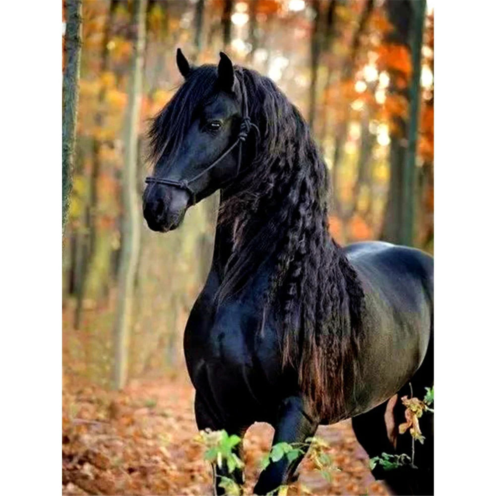 Алмазная 5D мозаика «сделай сам» с изображением лошади 
Алмазная 5D мозаика «сделай сам» с изображением лошади