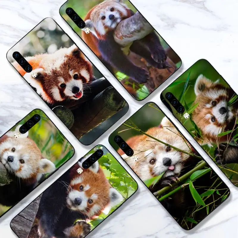 red panda cute animal Phone Case For Huawei honor Mate 10 20 30 40 i 9 8 pro x Lite P smart 2019 Y5 2018 nova 5t
red panda cute animal Phone Case For Huawei honor Mate 10 20 30 40 i 9 8 pro x Lite P smart 2019 Y5 2018 nova 5t