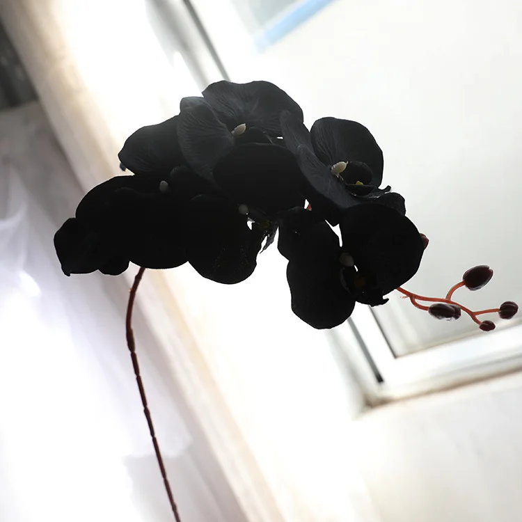 100cm Artificial Flower Black Butterfly Orchid Silk Phalaenopsis For Wedding Christams Home Decoration Garden Fake Plants
100cm Artificial Flower Black Butterfly Orchid Silk Phalaenopsis For Wedding Christams Home Decoration Garden Fake Plants