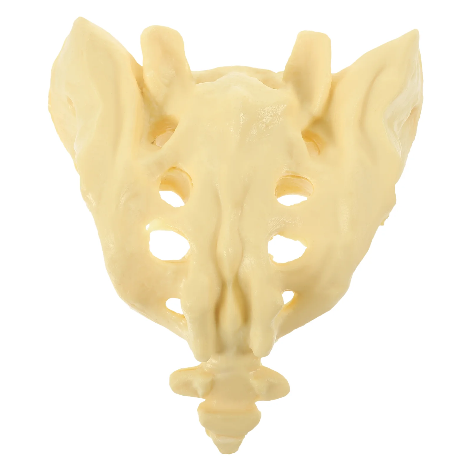 Healthy Sacrum Medical Training Model Anatomy Mannequin Bone PVC Artificial Sports
Healthy Sacrum Medical Training Model Anatomy Mannequin Bone PVC Artificial Sports