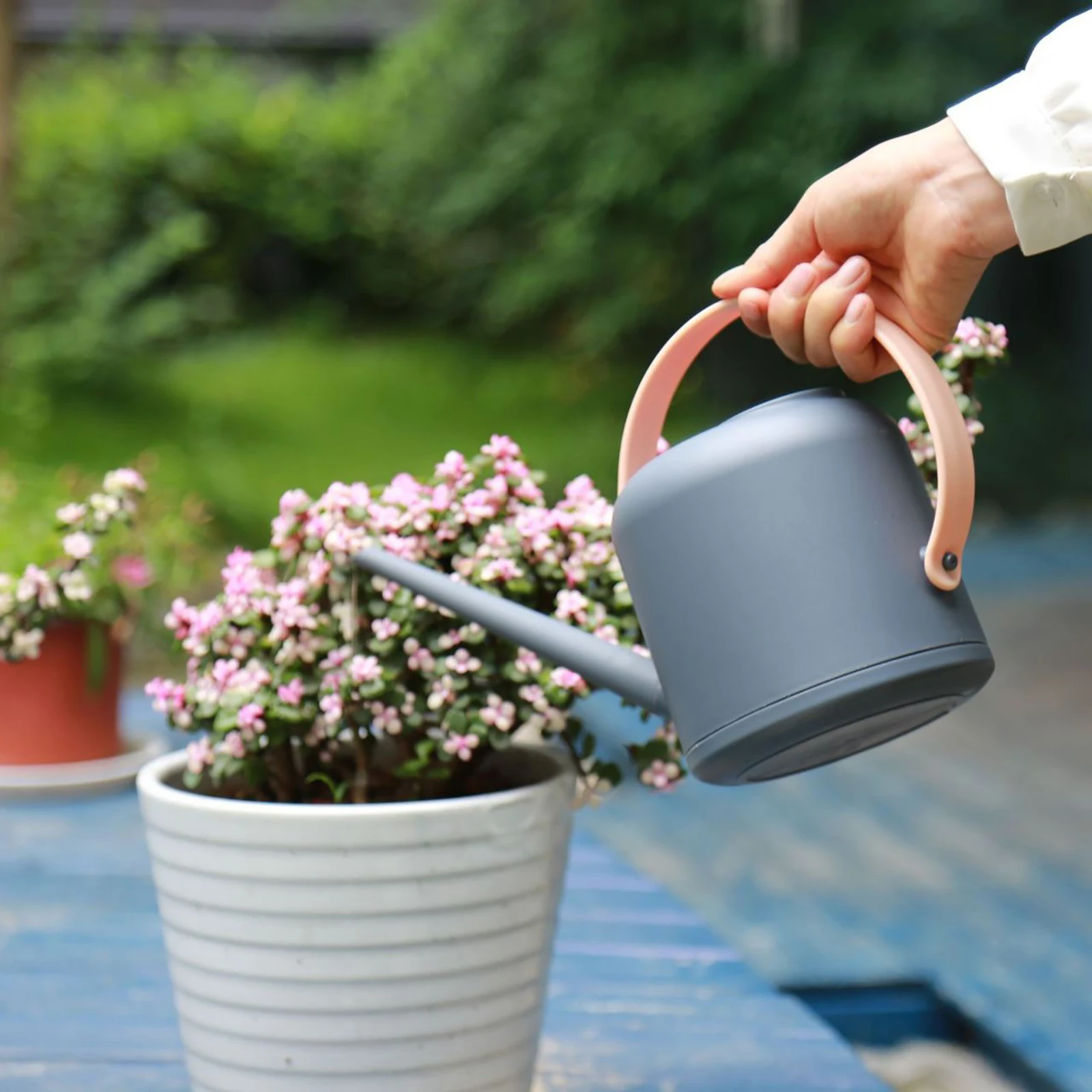 Tiantian, 1 Mini Irrigatore Con Ugello Lungo Per Piante Da Giardino Gardening Plant Watering
Tiantian, 1 Mini Irrigatore Con Ugello Lungo Per Piante Da Giardino Gardening Plant Watering