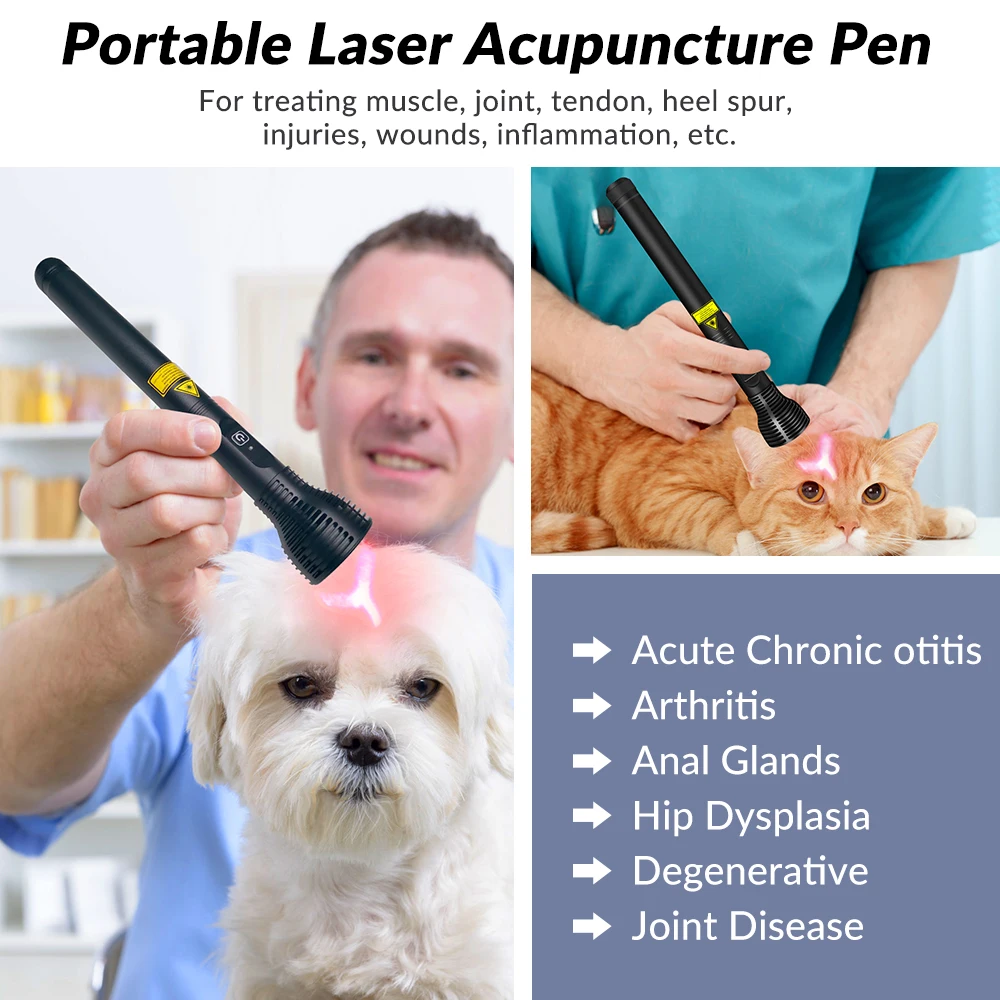 ZJZK Powerful 3W 808nm Acupuncture Pen Laser Therapy Physiotherapy Equipment for Veterinary Use
ZJZK Powerful 3W 808nm Acupuncture Pen Laser Therapy Physiotherapy Equipment for Veterinary Use