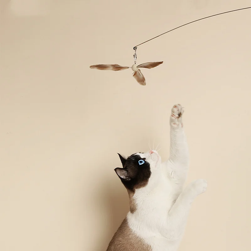 Fukumaru Bamboo Dragonfly High-elastic Funny Cat Stick Long Rod Wire Feather Pet Toy Cat Toy Cat Supplies Cat
Fukumaru Bamboo Dragonfly High-elastic Funny Cat Stick Long Rod Wire Feather Pet Toy Cat Toy Cat Supplies Cat