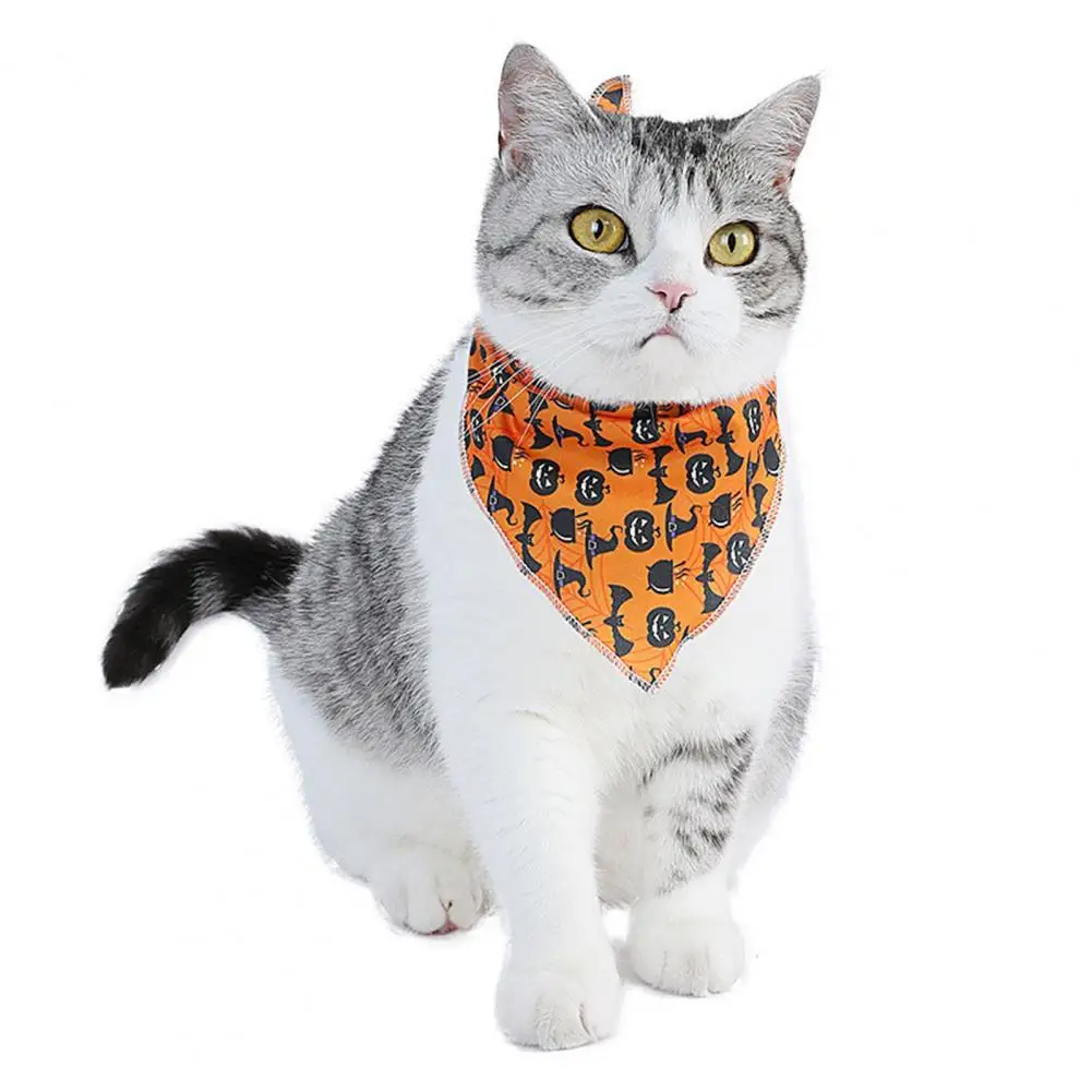 Bright Colored Pet Towel Stylish Halloween Pet Towel Pumpkin Pattern Comfortable Deformation-free Dress Up for Funny for Small
Bright Colored Pet Towel Stylish Halloween Pet Towel Pumpkin Pattern Comfortable Deformation-free Dress Up for Funny for Small