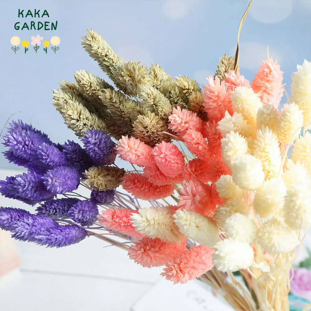 Dried Flowers Jewelry Grass Wedding Decoration Natural Gem Bouquet for Home Decor Room Table Display Items Phalaris DIY Wreaths 
Dried Flowers Jewelry Grass Wedding Decoration Natural Gem Bouquet for Home Decor Room Table Display Items Phalaris DIY Wreaths