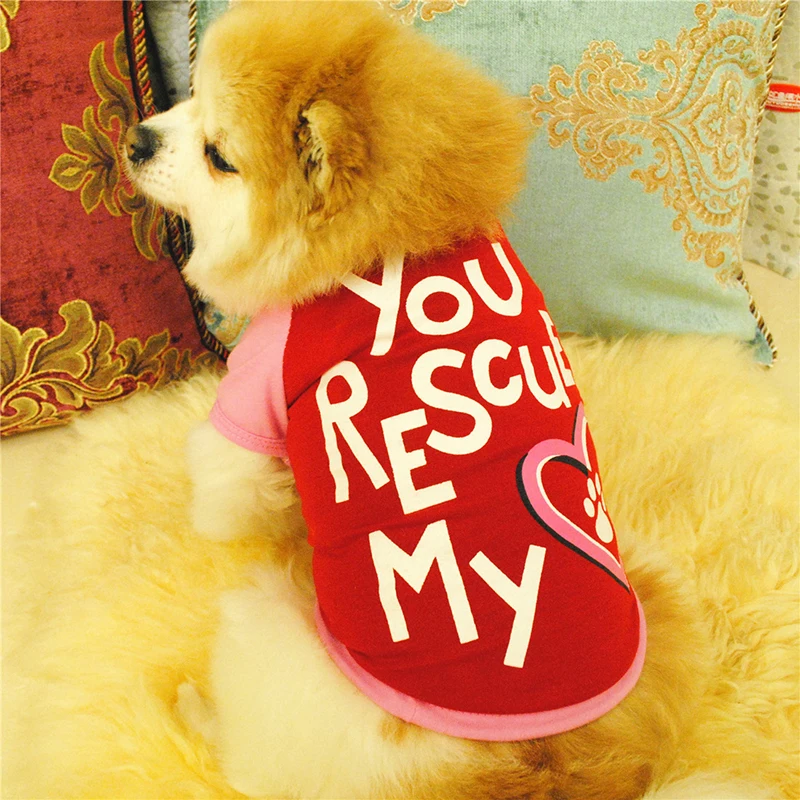 Pet Cat Clothes Summer Cat Vest Sports T Shirts Costume Thin Clothes for Small Dogs Chihuahua Cool Puppy Clothes for Kitty
Pet Cat Clothes Summer Cat Vest Sports T Shirts Costume Thin Clothes for Small Dogs Chihuahua Cool Puppy Clothes for Kitty