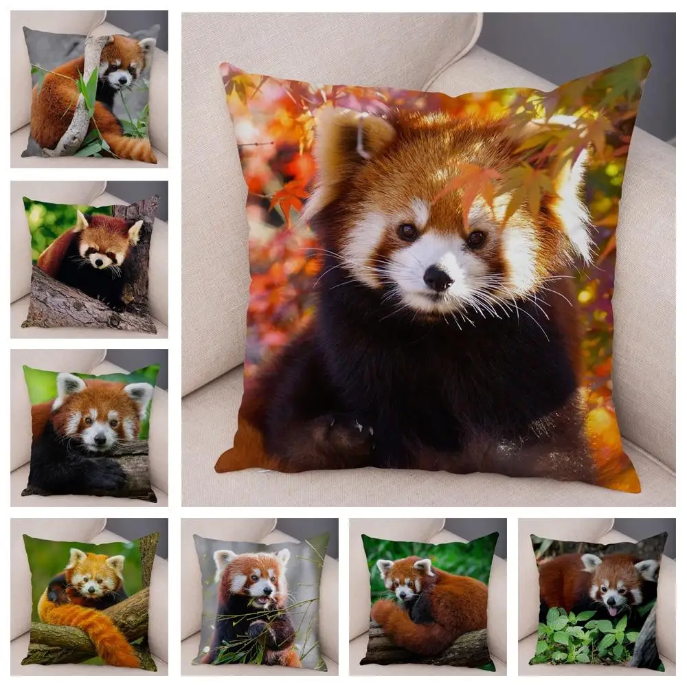 45*45 Cute Wildlife Pillowcase Red Panda Print Cushion Cover Sofa Home Car Decoration
45*45 Cute Wildlife Pillowcase Red Panda Print Cushion Cover Sofa Home Car Decoration