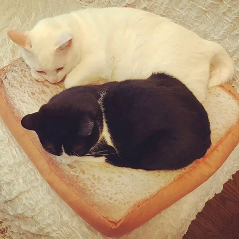 Detachable Pet Toast Cushion Mat Thick Creative Square Removable Dogs Kennel Cushion Soft Velvet Sleep Bread Beds
Detachable Pet Toast Cushion Mat Thick Creative Square Removable Dogs Kennel Cushion Soft Velvet Sleep Bread Beds