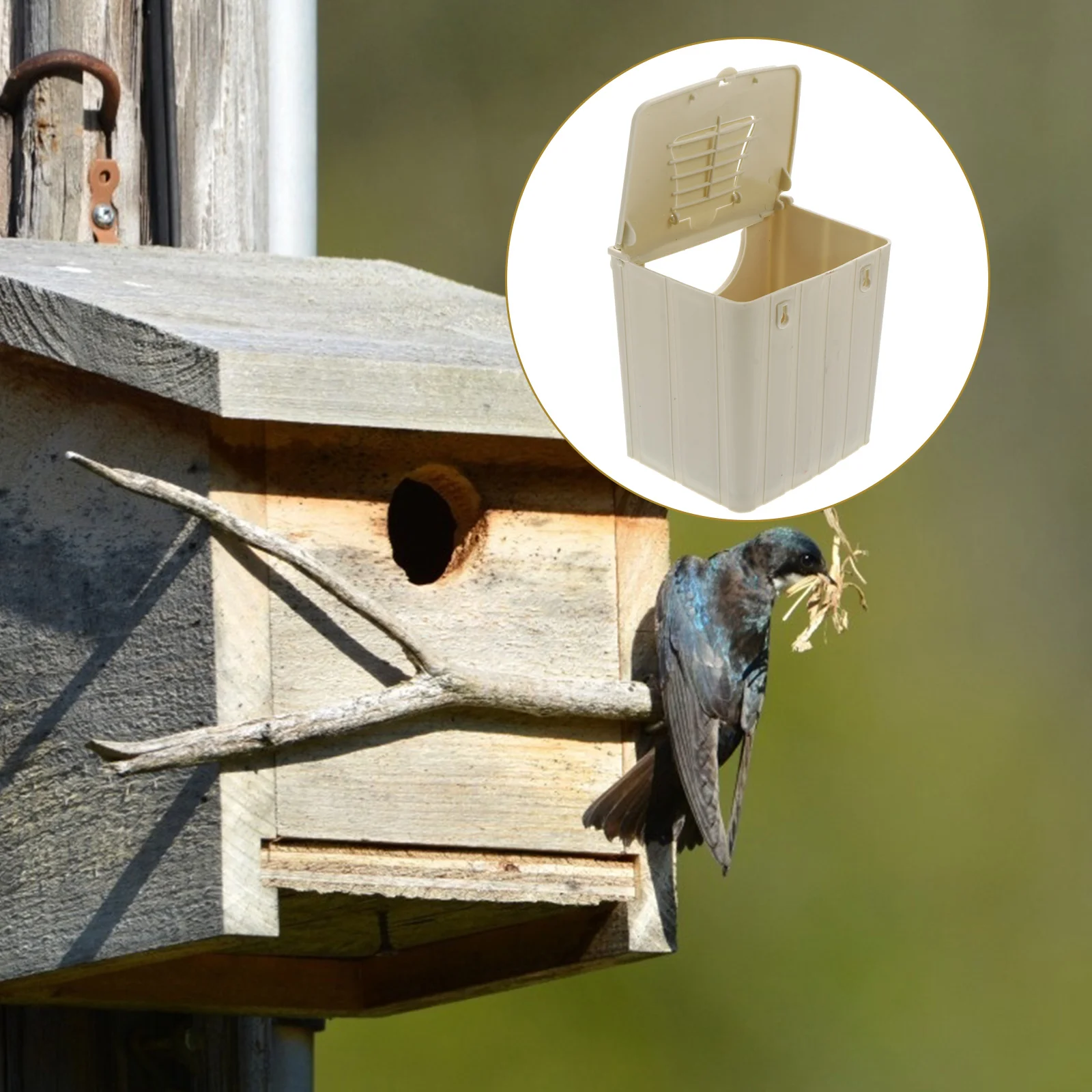 Bird Box Breeding Nesting Parakeet Cage Parrot House Cockatiel Hanging Birds Finch Feeder Cages Boxes Water Houses Budgie
Bird Box Breeding Nesting Parakeet Cage Parrot House Cockatiel Hanging Birds Finch Feeder Cages Boxes Water Houses Budgie