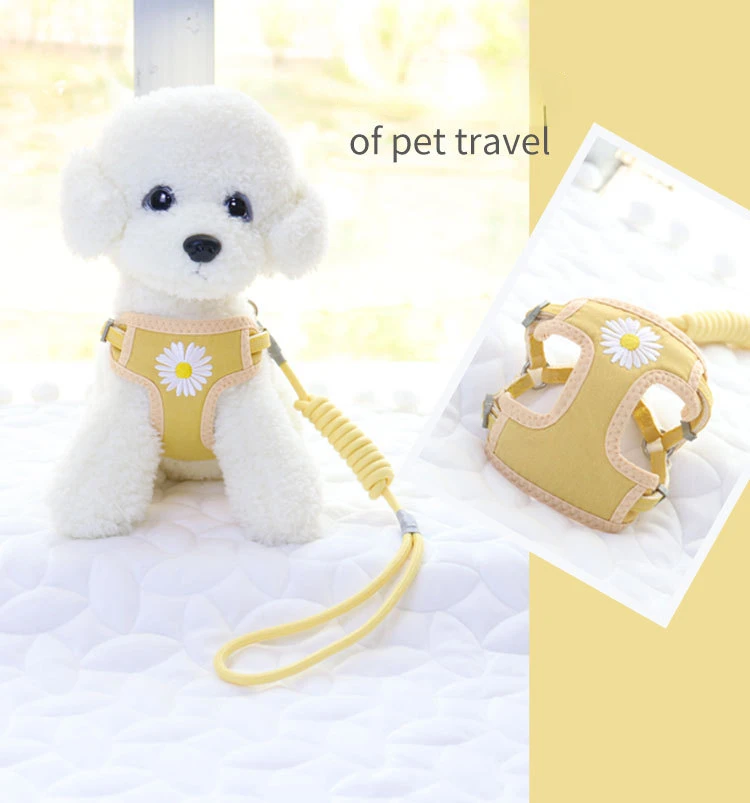 Dog Traction Rope Chest Strap Dog Chain Dog Rope Small and Medium-sized Dog Chest Strap Schnauzer French Bulldog Pet Supplies
Dog Traction Rope Chest Strap Dog Chain Dog Rope Small and Medium-sized Dog Chest Strap Schnauzer French Bulldog Pet Supplies