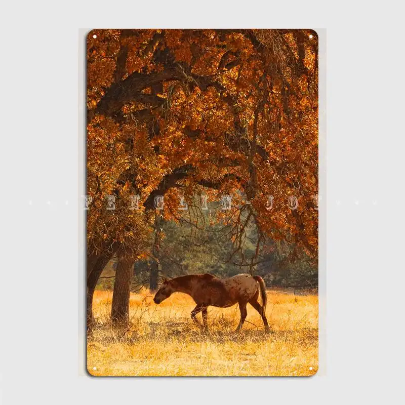 Плакат Appaloosa с изображением лошади и дубов, металлический плакат, проектирование таблички на стену в пабе, Настольная пещера, плакаты
Плакат Appaloosa с изображением лошади и дубов, металлический плакат, проектирование таблички на стену в пабе, Настольная пещера, плакаты