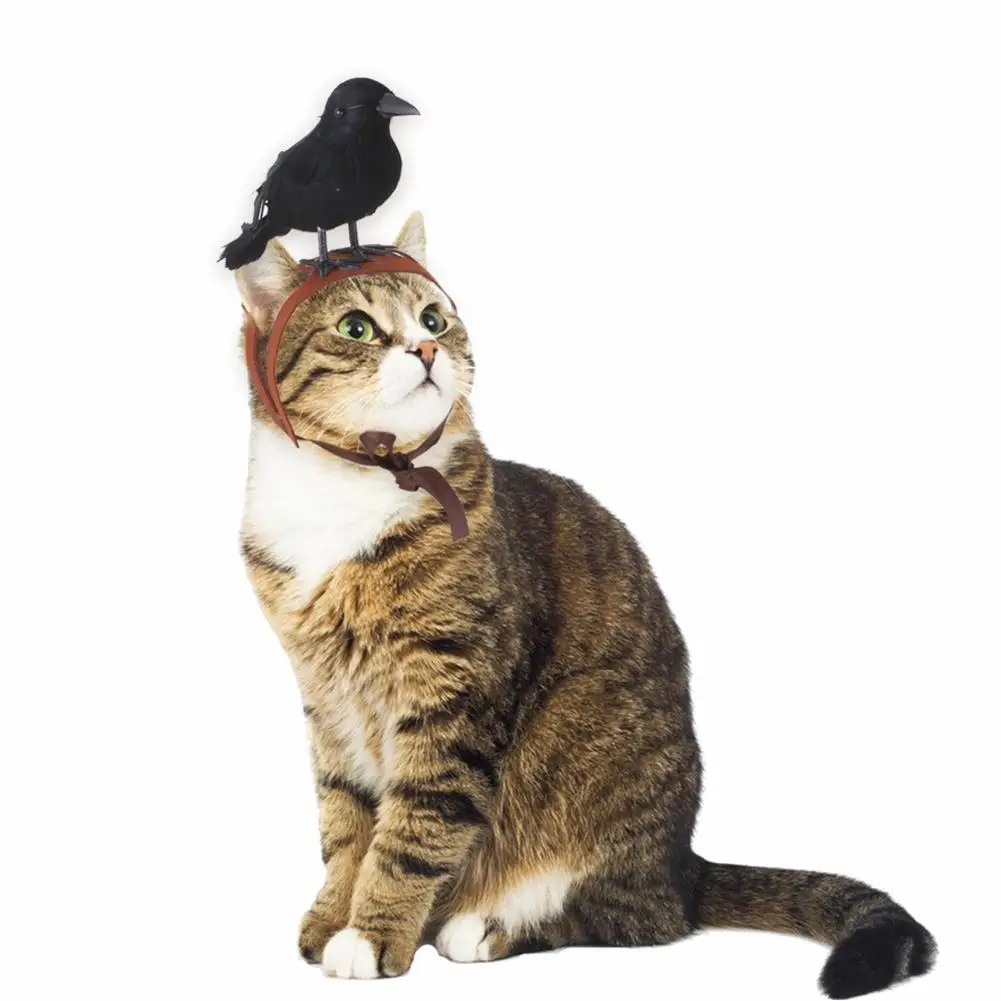 Pet Artifical Tiara With Crow Cat Felt Fabric Dress Up Headgear Hair Accessories For Cosplay Parties
Pet Artifical Tiara With Crow Cat Felt Fabric Dress Up Headgear Hair Accessories For Cosplay Parties