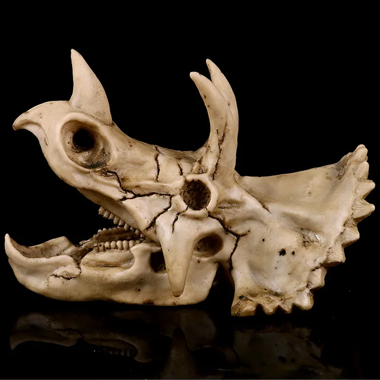 Triceratops динозавр Смола ископаемый череп модель коллекционные животные
Triceratops динозавр Смола ископаемый череп модель коллекционные животные