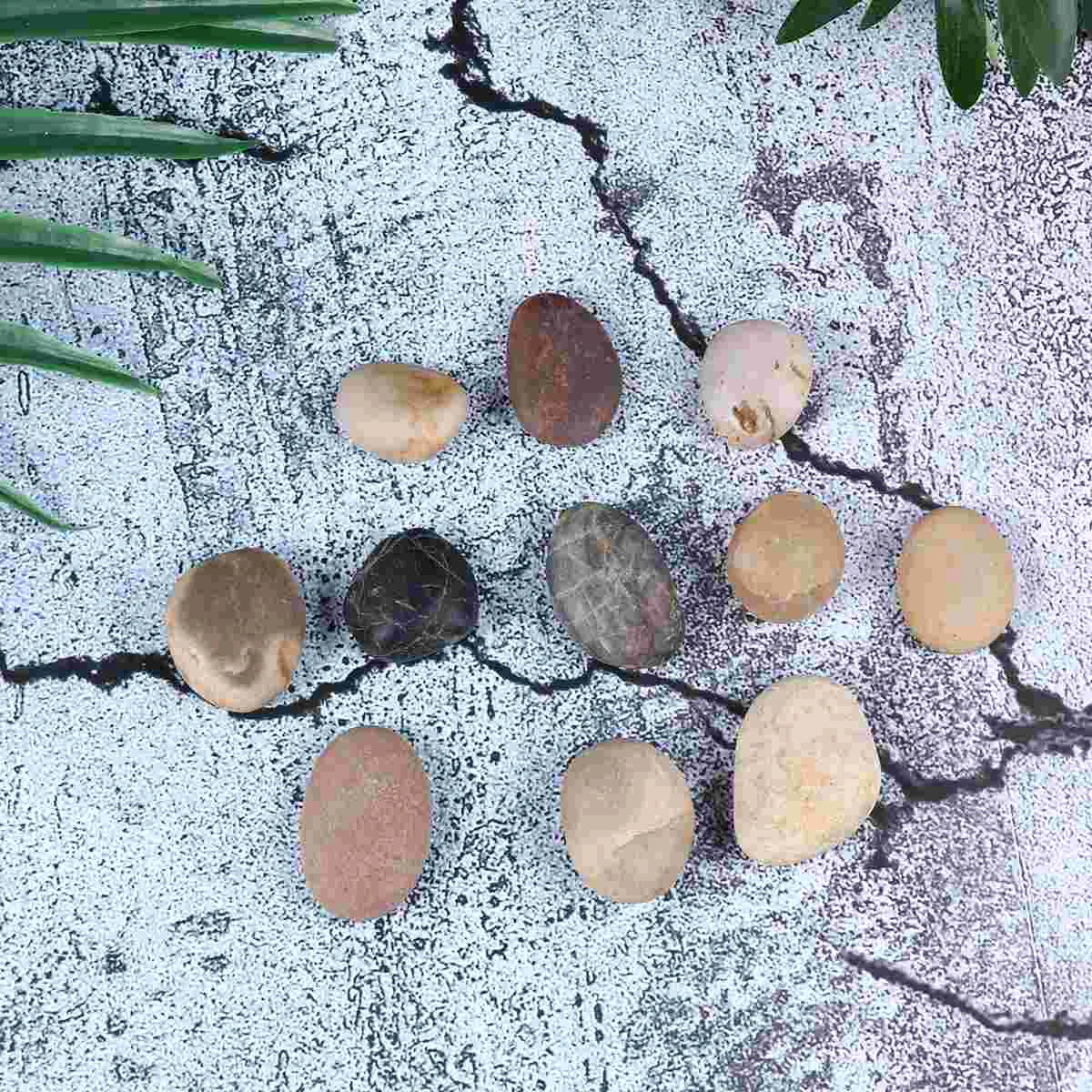 Painting Stonesstonenatural Kidskit Pebbles Children Kindness Forto Smooth Toy Gravel Craft River Crafts Pebble Toys Diy Bracket
Painting Stonesstonenatural Kidskit Pebbles Children Kindness Forto Smooth Toy Gravel Craft River Crafts Pebble Toys Diy Bracket
