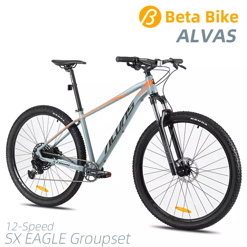 ALVAS STORM SX EAGLE 12 Speed 29*17 Inch Aluminum Alloy MTB Bicycle Hydraulic Disc Brake Rockshox Judy Fork Mountain Bike
ALVAS STORM SX EAGLE 12 Speed 29*17 Inch Aluminum Alloy MTB Bicycle Hydraulic Disc Brake Rockshox Judy Fork Mountain Bike