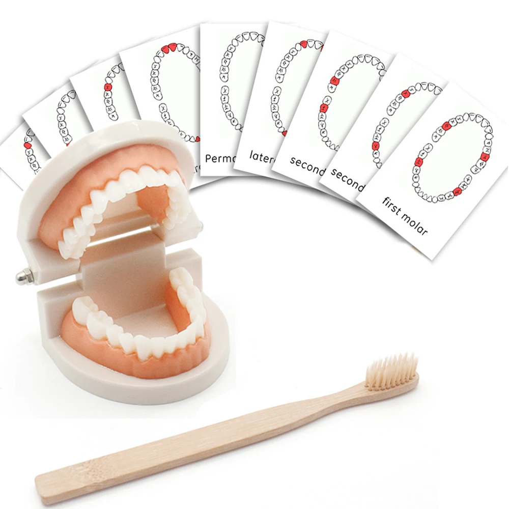 Montessori Educational Material Montessori Learning Educational Toys For Children 3 Years Early Learning Practical Life Toys
Montessori Educational Material Montessori Learning Educational Toys For Children 3 Years Early Learning Practical Life Toys