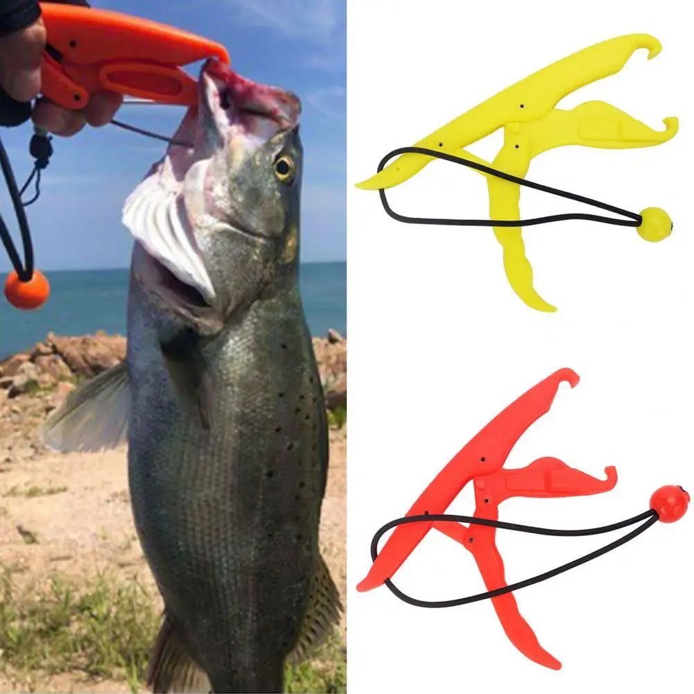 Professional Fish Controller Manual Convenient Carrying Fishing Tackle Reliable Non-slip Fishing Gripper Fishing Equipment
Professional Fish Controller Manual Convenient Carrying Fishing Tackle Reliable Non-slip Fishing Gripper Fishing Equipment