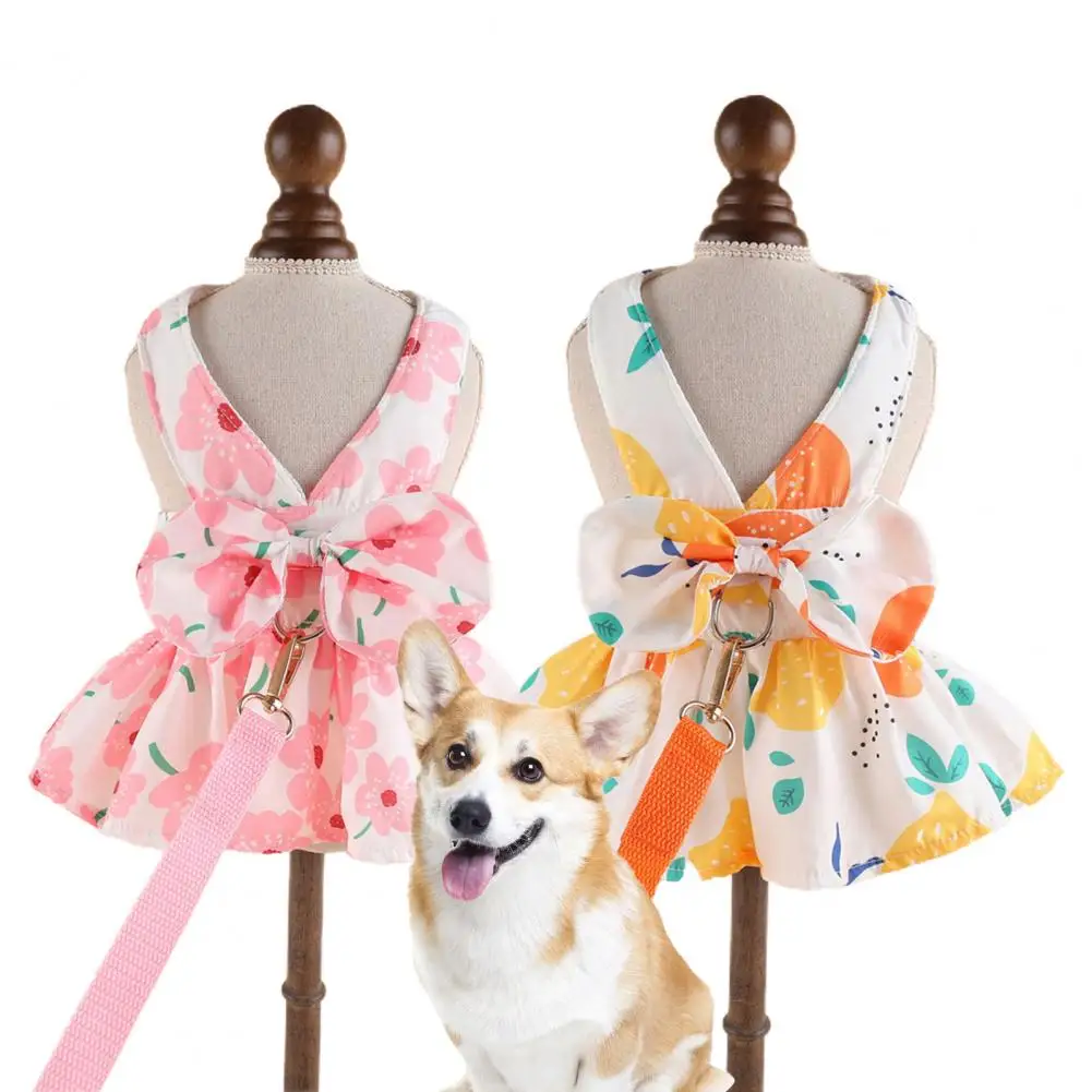 Cute Dog Dress And Leash Set with Bowknot Decoration Pet Cat Princess Dress for Spring Summer Outdoor Activities
Cute Dog Dress And Leash Set with Bowknot Decoration Pet Cat Princess Dress for Spring Summer Outdoor Activities