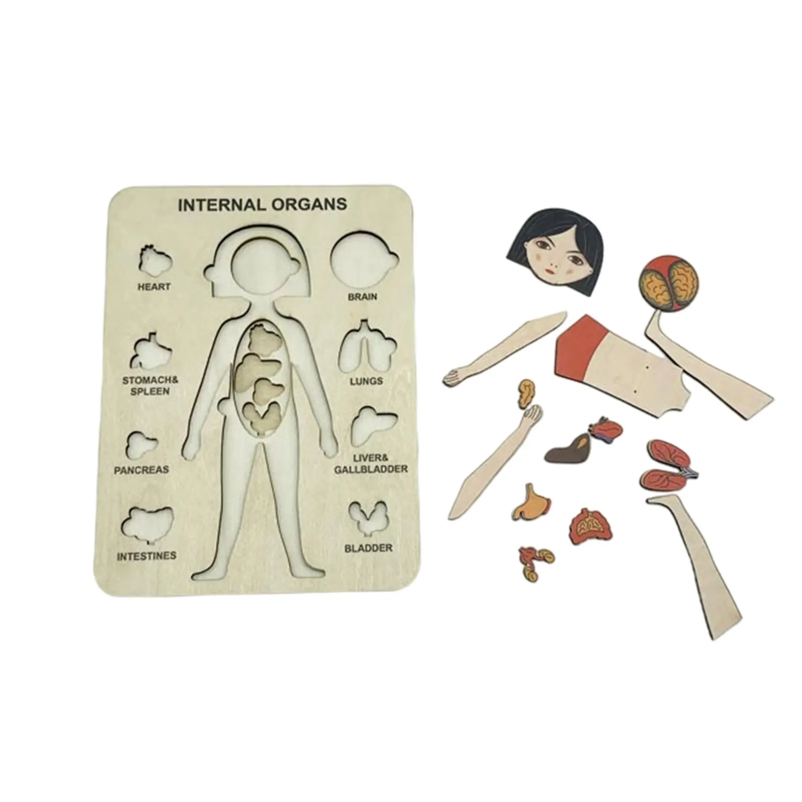 Human Body Puzzle Anatomy Puzzle Toys For Boys Girls Wooden Puzzle Toys Girl Anatomy Play Set Educational Learning Preschool
Human Body Puzzle Anatomy Puzzle Toys For Boys Girls Wooden Puzzle Toys Girl Anatomy Play Set Educational Learning Preschool
