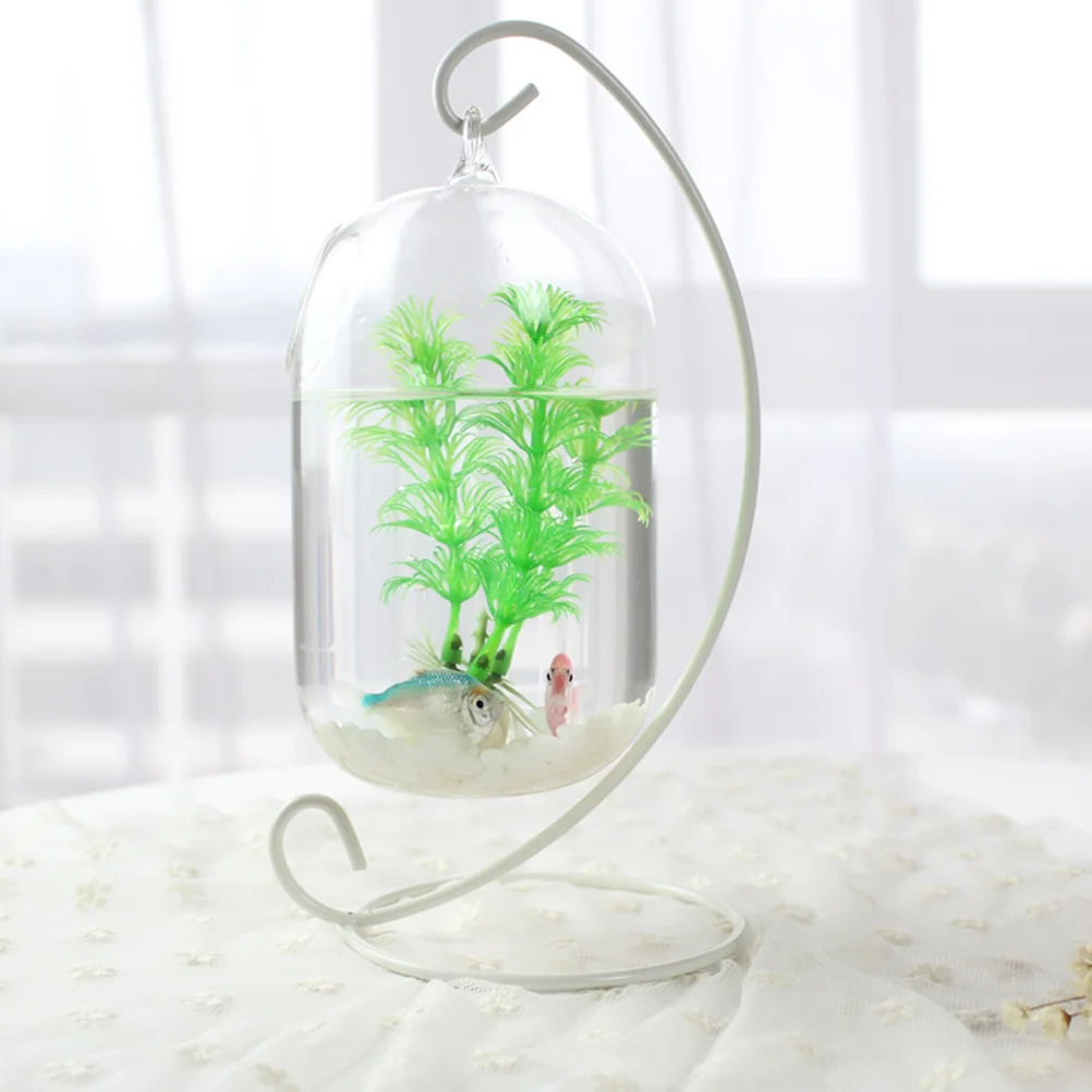 Aquariums & Fish Bowls Propagation Stations Ecosphere Live Plants House Plants Indoors Live Fish Tank With Stand Combo Set
Aquariums & Fish Bowls Propagation Stations Ecosphere Live Plants House Plants Indoors Live Fish Tank With Stand Combo Set