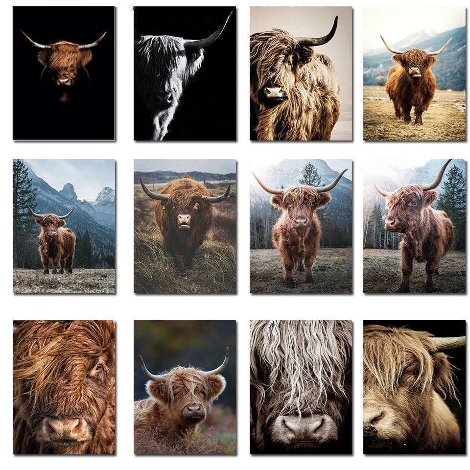 Алмазная живопись «сделай сам», шотландский горный рогатый скот, 5d Алмазная мозаика, Коричневая Корова, алмазная вышивка, животное, вышивка ...
Алмазная живопись «сделай сам», шотландский горный рогатый скот, 5d Алмазная мозаика, Коричневая Корова, алмазная вышивка, животное, вышивка ...