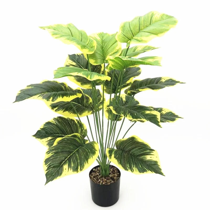 75cm Artificial Green Plant Over Glue White Yellow Edge Pig Heart Leaf Fake Tree Home Hotel Office Interior Decoration Bonsai
75cm Artificial Green Plant Over Glue White Yellow Edge Pig Heart Leaf Fake Tree Home Hotel Office Interior Decoration Bonsai