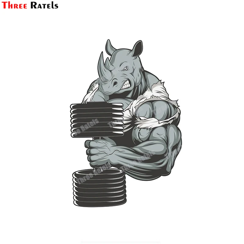 Наклейки на автомобиль Three Ratels B557 calcomania De Vinilo Intensa agreшива перемешиваемая мышечная конструкция наклейки 
Наклейки на автомобиль Three Ratels B557 calcomania De Vinilo Intensa agreшива перемешиваемая мышечная конструкция наклейки