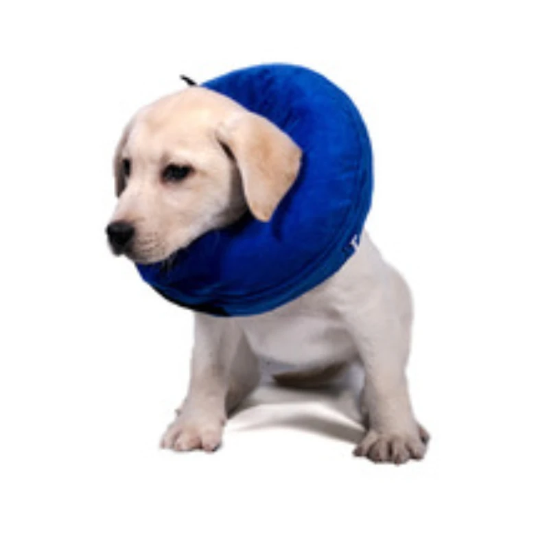 Ultimate Pet Collar: The Perfect Solution for Your Dog's Anti-Bite Needs, with Inflatable Beauty Cover
Ultimate Pet Collar: The Perfect Solution for Your Dog's Anti-Bite Needs, with Inflatable Beauty Cover