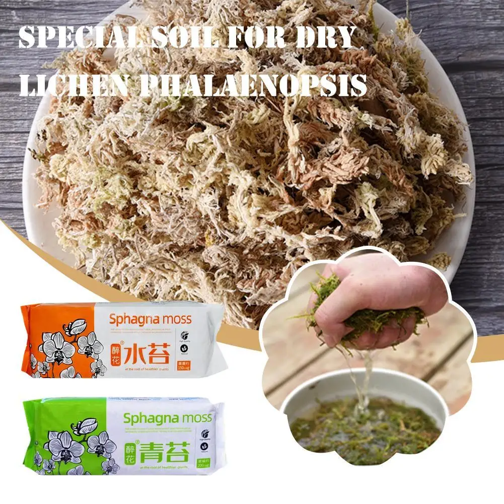 Sphagnum Moss Nutrient Soil Phalaenopsis Dedicated Nutrition Moss For Orchids Succulents Orchid Fertilizer For Potted Flower 
Sphagnum Moss Nutrient Soil Phalaenopsis Dedicated Nutrition Moss For Orchids Succulents Orchid Fertilizer For Potted Flower