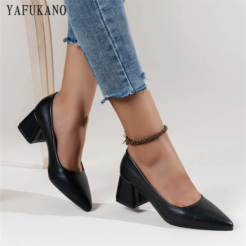 Minimalist Point Toe Chunky Heeled Court Pumps Fashion Office Work Shoes Korean Shallow Mouth Casual Single Shoes High Heels
Minimalist Point Toe Chunky Heeled Court Pumps Fashion Office Work Shoes Korean Shallow Mouth Casual Single Shoes High Heels