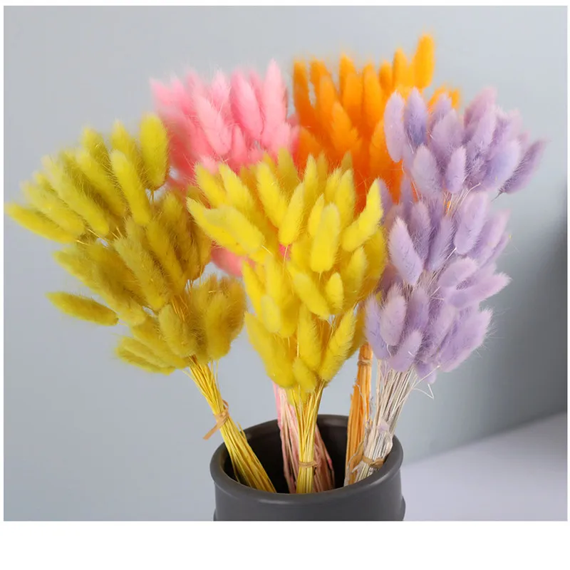 60Pcs Dried Flower Rabbit Tail Bouquet Home Decor Natural Fluffy Pampas Floral Arrangement Rustic Wedding Table Decoration
60Pcs Dried Flower Rabbit Tail Bouquet Home Decor Natural Fluffy Pampas Floral Arrangement Rustic Wedding Table Decoration